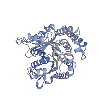 29685_8g2z_KH_v1-0
48-nm doublet microtubule from Tetrahymena thermophila strain CU428