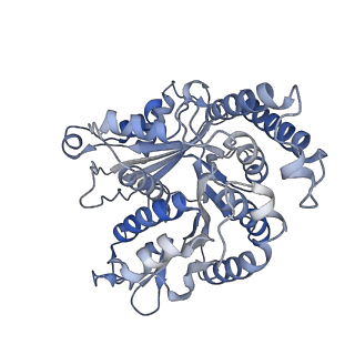 29685_8g2z_KI_v1-0
48-nm doublet microtubule from Tetrahymena thermophila strain CU428