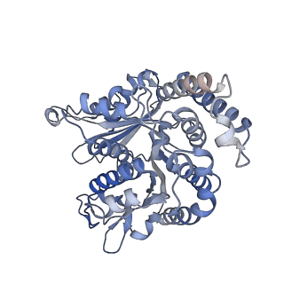 29685_8g2z_KJ_v1-0
48-nm doublet microtubule from Tetrahymena thermophila strain CU428