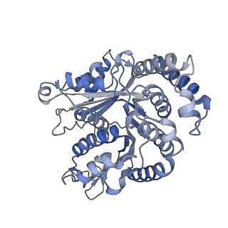 29685_8g2z_KK_v1-0
48-nm doublet microtubule from Tetrahymena thermophila strain CU428