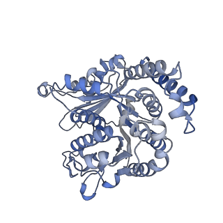 29685_8g2z_KL_v1-0
48-nm doublet microtubule from Tetrahymena thermophila strain CU428