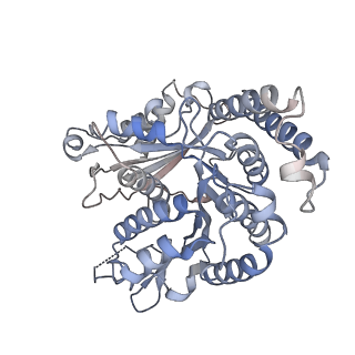 29685_8g2z_KM_v1-0
48-nm doublet microtubule from Tetrahymena thermophila strain CU428