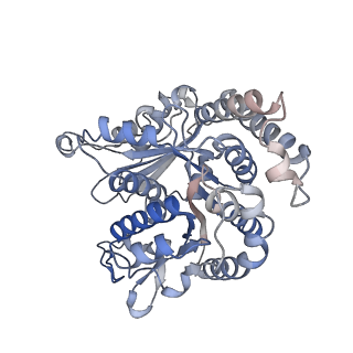 29685_8g2z_KN_v1-0
48-nm doublet microtubule from Tetrahymena thermophila strain CU428
