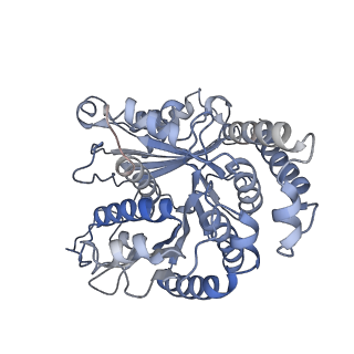 29685_8g2z_LA_v1-0
48-nm doublet microtubule from Tetrahymena thermophila strain CU428