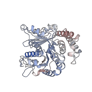 29685_8g2z_LB_v1-0
48-nm doublet microtubule from Tetrahymena thermophila strain CU428