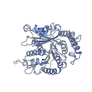 29685_8g2z_LC_v1-0
48-nm doublet microtubule from Tetrahymena thermophila strain CU428