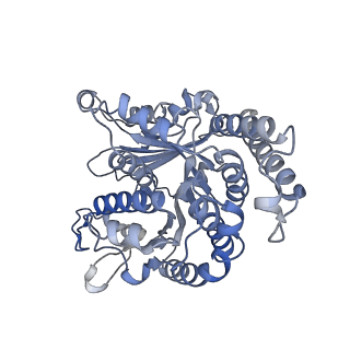 29685_8g2z_LD_v1-0
48-nm doublet microtubule from Tetrahymena thermophila strain CU428