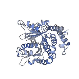 29685_8g2z_LF_v1-0
48-nm doublet microtubule from Tetrahymena thermophila strain CU428