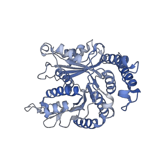 29685_8g2z_LG_v1-0
48-nm doublet microtubule from Tetrahymena thermophila strain CU428