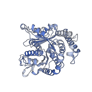 29685_8g2z_LH_v1-0
48-nm doublet microtubule from Tetrahymena thermophila strain CU428