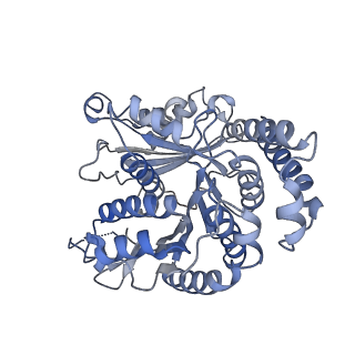 29685_8g2z_LI_v1-0
48-nm doublet microtubule from Tetrahymena thermophila strain CU428