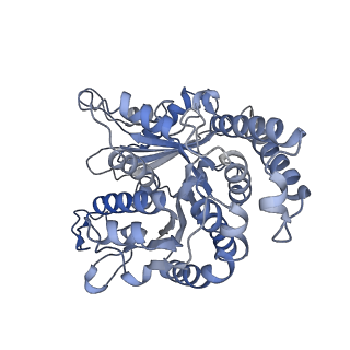 29685_8g2z_LJ_v1-0
48-nm doublet microtubule from Tetrahymena thermophila strain CU428