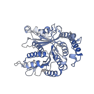 29685_8g2z_LK_v1-0
48-nm doublet microtubule from Tetrahymena thermophila strain CU428