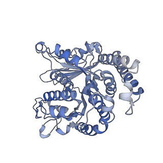 29685_8g2z_LL_v1-0
48-nm doublet microtubule from Tetrahymena thermophila strain CU428
