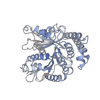 29685_8g2z_LM_v1-0
48-nm doublet microtubule from Tetrahymena thermophila strain CU428
