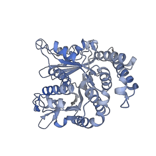 29685_8g2z_LN_v1-0
48-nm doublet microtubule from Tetrahymena thermophila strain CU428