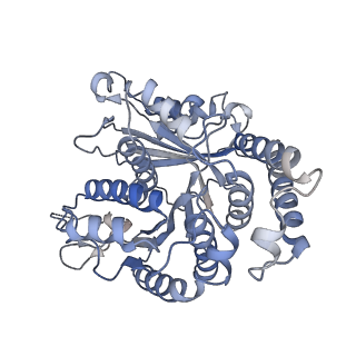 29685_8g2z_MC_v1-0
48-nm doublet microtubule from Tetrahymena thermophila strain CU428