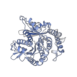 29685_8g2z_MD_v1-0
48-nm doublet microtubule from Tetrahymena thermophila strain CU428