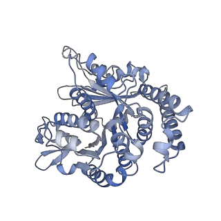 29685_8g2z_MF_v1-0
48-nm doublet microtubule from Tetrahymena thermophila strain CU428