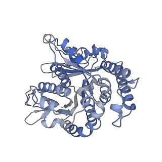 29685_8g2z_MH_v1-0
48-nm doublet microtubule from Tetrahymena thermophila strain CU428