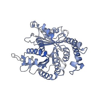 29685_8g2z_MI_v1-0
48-nm doublet microtubule from Tetrahymena thermophila strain CU428