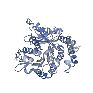 29685_8g2z_MJ_v1-0
48-nm doublet microtubule from Tetrahymena thermophila strain CU428