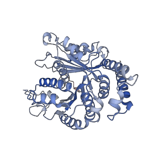 29685_8g2z_MK_v1-0
48-nm doublet microtubule from Tetrahymena thermophila strain CU428