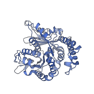 29685_8g2z_ML_v1-0
48-nm doublet microtubule from Tetrahymena thermophila strain CU428