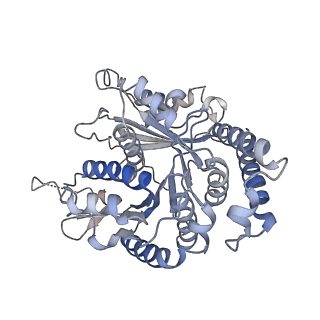 29685_8g2z_MM_v1-0
48-nm doublet microtubule from Tetrahymena thermophila strain CU428