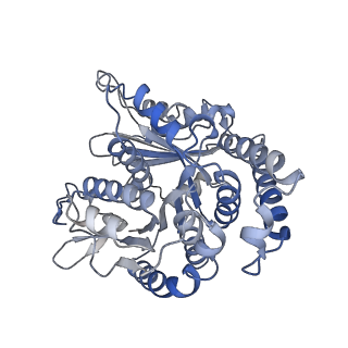 29685_8g2z_MN_v1-0
48-nm doublet microtubule from Tetrahymena thermophila strain CU428