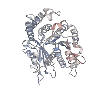 29685_8g2z_NA_v1-0
48-nm doublet microtubule from Tetrahymena thermophila strain CU428