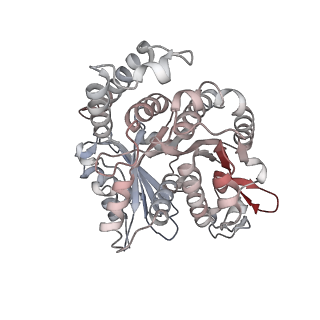 29685_8g2z_NB_v1-0
48-nm doublet microtubule from Tetrahymena thermophila strain CU428