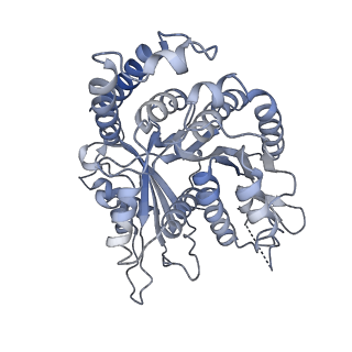 29685_8g2z_NC_v1-0
48-nm doublet microtubule from Tetrahymena thermophila strain CU428