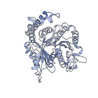 29685_8g2z_ND_v1-0
48-nm doublet microtubule from Tetrahymena thermophila strain CU428