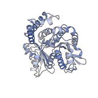 29685_8g2z_NF_v1-0
48-nm doublet microtubule from Tetrahymena thermophila strain CU428