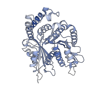 29685_8g2z_NI_v1-0
48-nm doublet microtubule from Tetrahymena thermophila strain CU428