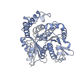 29685_8g2z_NJ_v1-0
48-nm doublet microtubule from Tetrahymena thermophila strain CU428