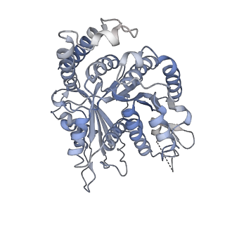 29685_8g2z_NK_v1-0
48-nm doublet microtubule from Tetrahymena thermophila strain CU428