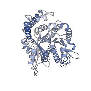 29685_8g2z_NL_v1-0
48-nm doublet microtubule from Tetrahymena thermophila strain CU428