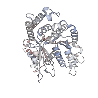 29685_8g2z_NM_v1-0
48-nm doublet microtubule from Tetrahymena thermophila strain CU428