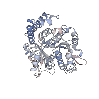 29685_8g2z_NN_v1-0
48-nm doublet microtubule from Tetrahymena thermophila strain CU428