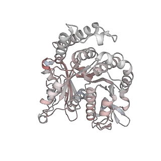 29685_8g2z_OB_v1-0
48-nm doublet microtubule from Tetrahymena thermophila strain CU428