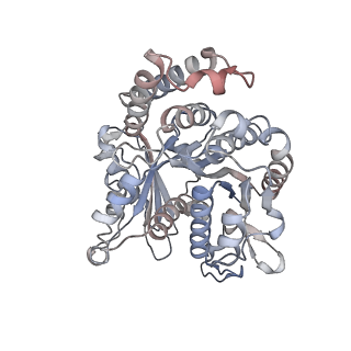 29685_8g2z_OD_v1-0
48-nm doublet microtubule from Tetrahymena thermophila strain CU428