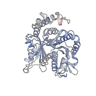 29685_8g2z_OF_v1-0
48-nm doublet microtubule from Tetrahymena thermophila strain CU428