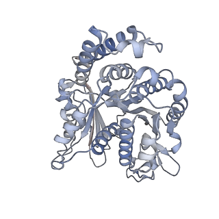 29685_8g2z_OH_v1-0
48-nm doublet microtubule from Tetrahymena thermophila strain CU428