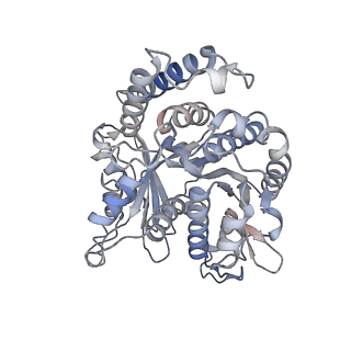 29685_8g2z_OJ_v1-0
48-nm doublet microtubule from Tetrahymena thermophila strain CU428