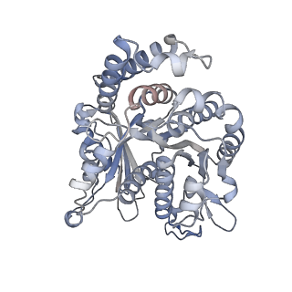 29685_8g2z_OL_v1-0
48-nm doublet microtubule from Tetrahymena thermophila strain CU428