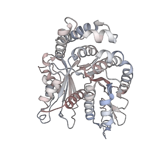 29685_8g2z_OM_v1-0
48-nm doublet microtubule from Tetrahymena thermophila strain CU428