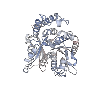 29685_8g2z_ON_v1-0
48-nm doublet microtubule from Tetrahymena thermophila strain CU428