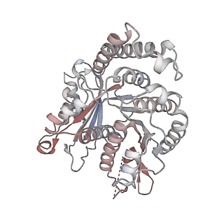 29685_8g2z_PA_v1-0
48-nm doublet microtubule from Tetrahymena thermophila strain CU428